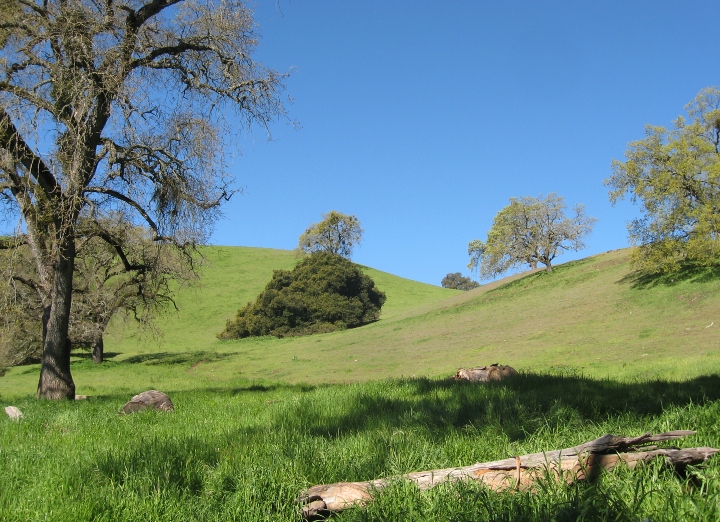 Mount Hamilton